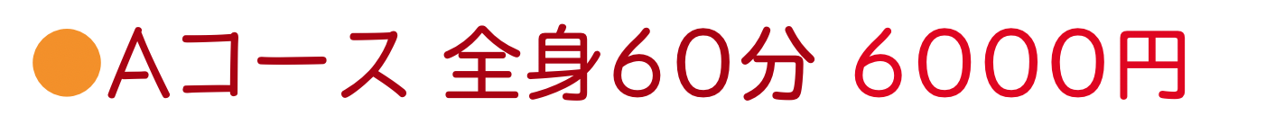 全身整体60分Aコース