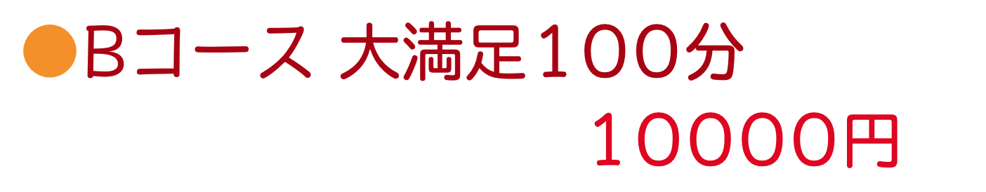 大満足100分Bコース